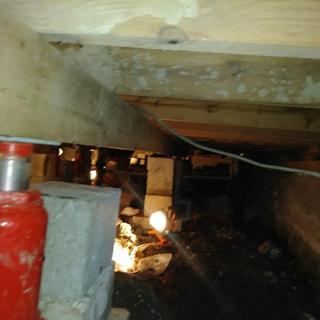 Your Damp Crawlspace Might Be a Warning Sign