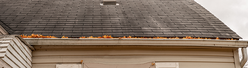 3 Things to Look for As You Clean Out Your Gutters This Fall