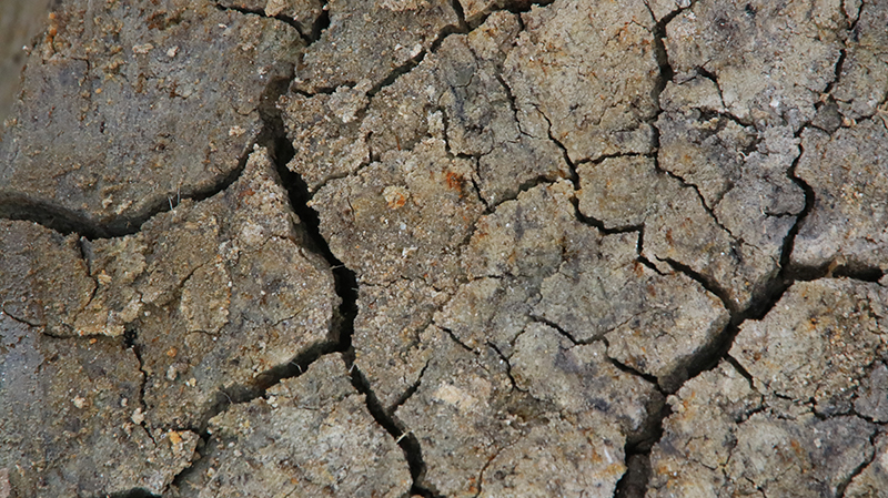 Can a Drought Cause Foundation Problems?