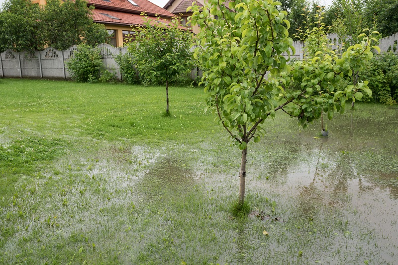 3 Ways To Protect Your Foundation From Rain and Settlement