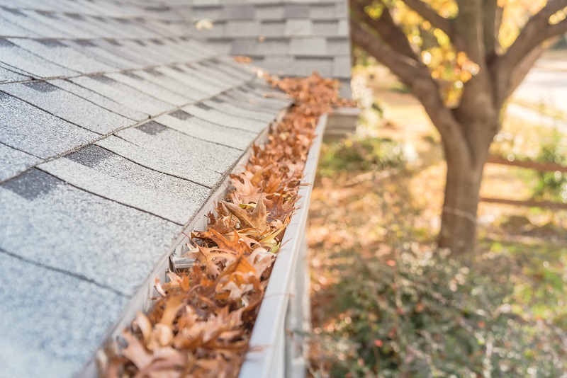 Fall Maintenance Tips to Help Protect Your Home Against Moisture and Foundation Problems