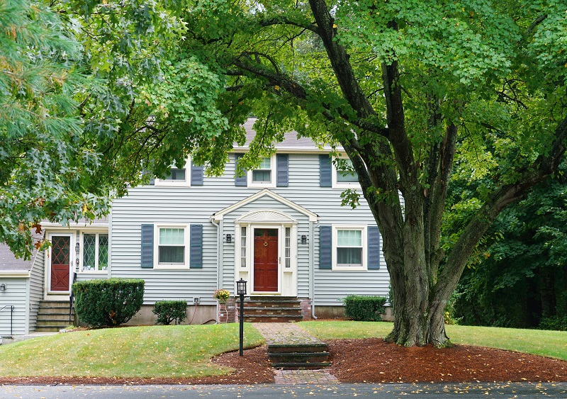 The Impact of Tree Roots on Pier and Beam and Slab Foundations